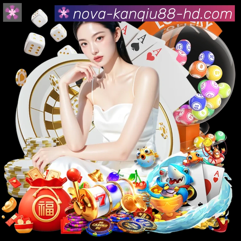 未来规划